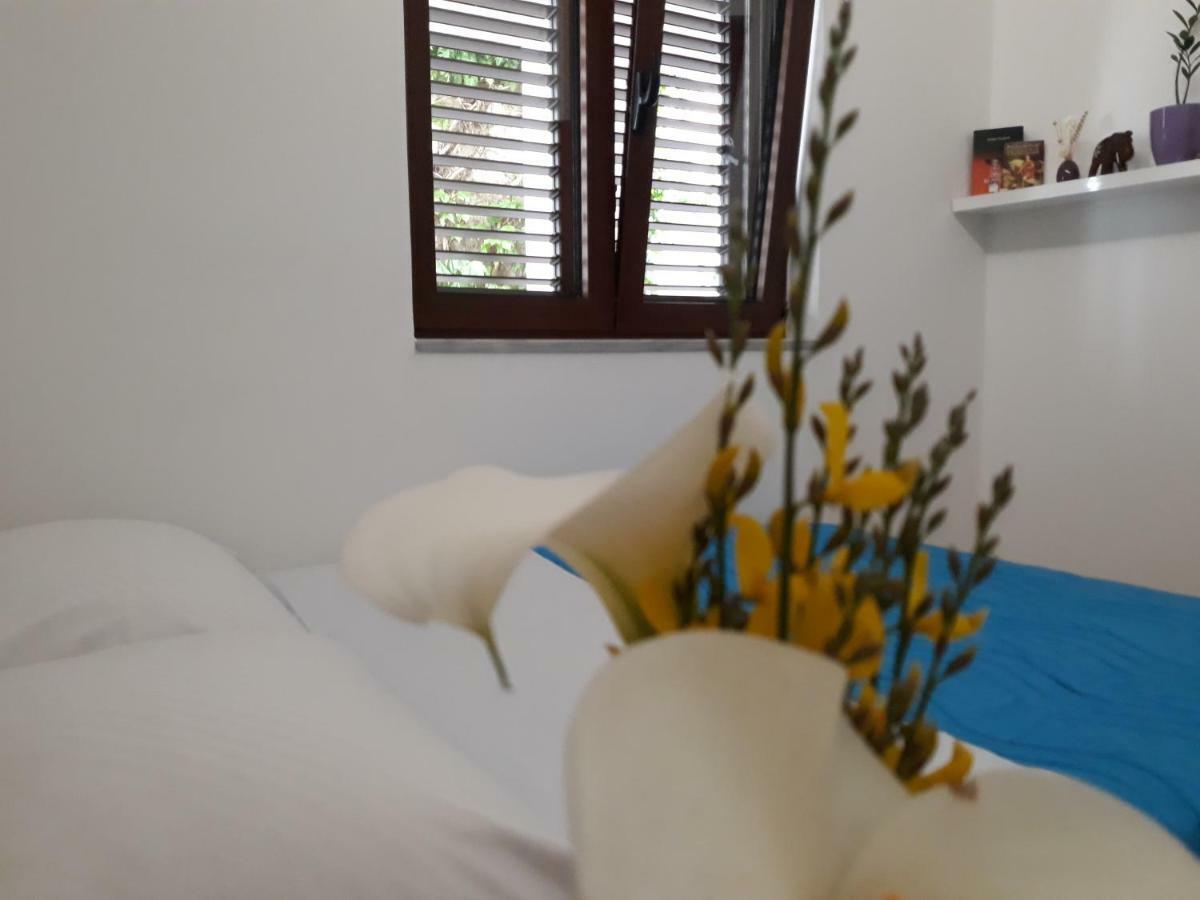 Apartments Ardura Petrovac Dış mekan fotoğraf